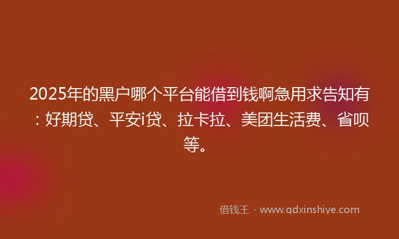 2025年的黑户哪个平台能借到钱啊急用求告知有：好期贷、平安i贷、拉卡拉、美团生活费、省呗等。