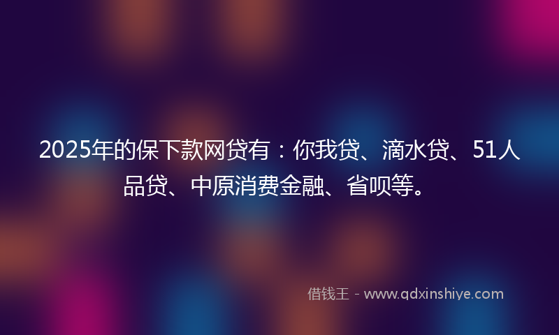 2025年的保下款网贷有：你我贷、滴水贷、51人品贷、中原消费金融、省呗等。