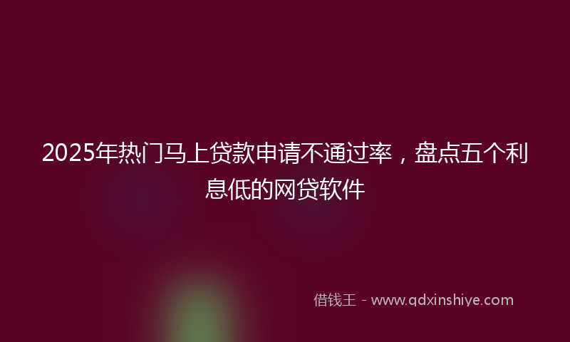 2025年热门马上贷款申请不通过率，盘点五个利息低的网贷软件