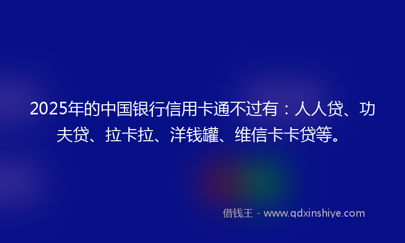 2025年的中国银行信用卡通不过有：人人贷、功夫贷、拉卡拉、洋钱罐、维信卡卡贷等。