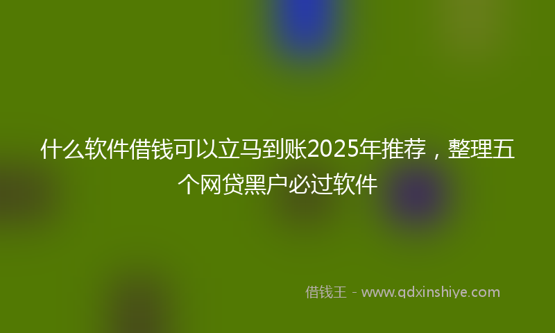什么软件借钱可以立马到账2025年推荐，整理五个网贷黑户必过软件
