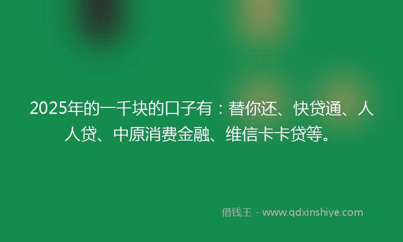 2025年的一千块的口子有：替你还、快贷通、人人贷、中原消费金融、维信卡卡贷等。