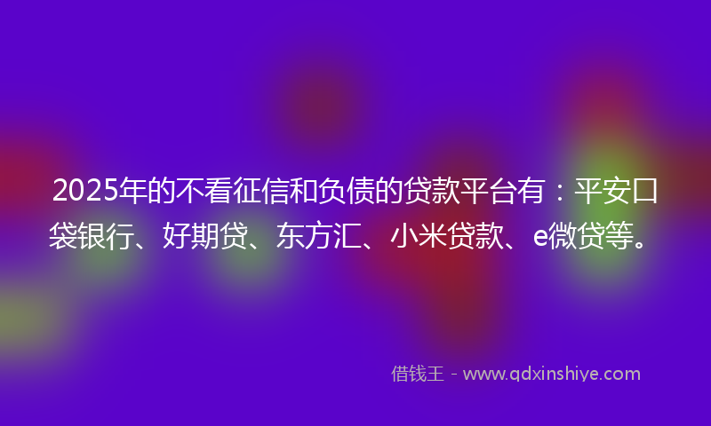 2025年的不看征信和负债的贷款平台有：平安口袋银行、好期贷、东方汇、小米贷款、e微贷等。