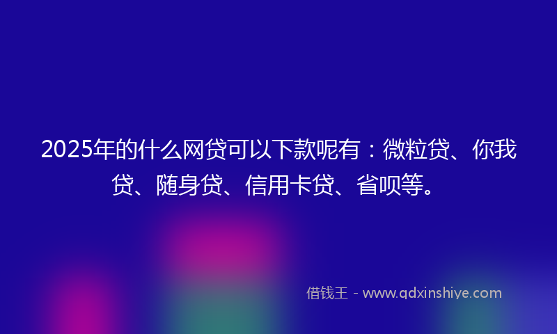 2025年的什么网贷可以下款呢有：微粒贷、你我贷、随身贷、信用卡贷、省呗等。