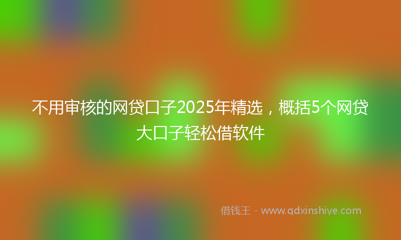 不用审核的网贷口子2025年精选，概括5个网贷大口子轻松借软件