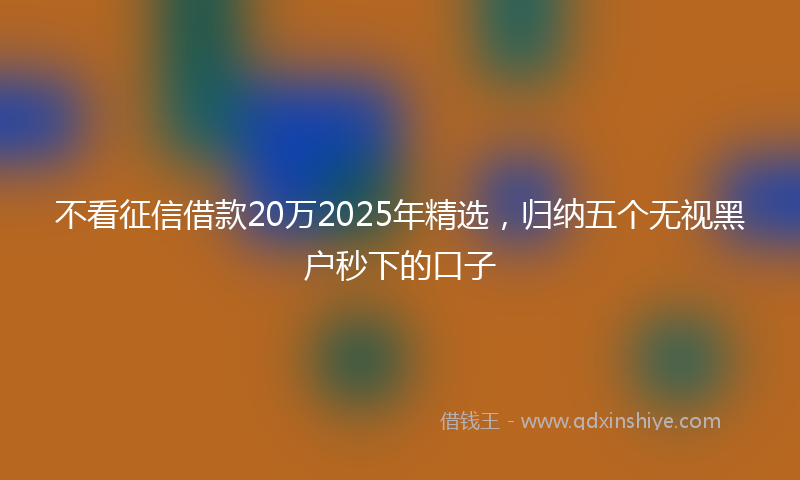 不看征信借款20万2025年精选，归纳五个无视黑户秒下的口子