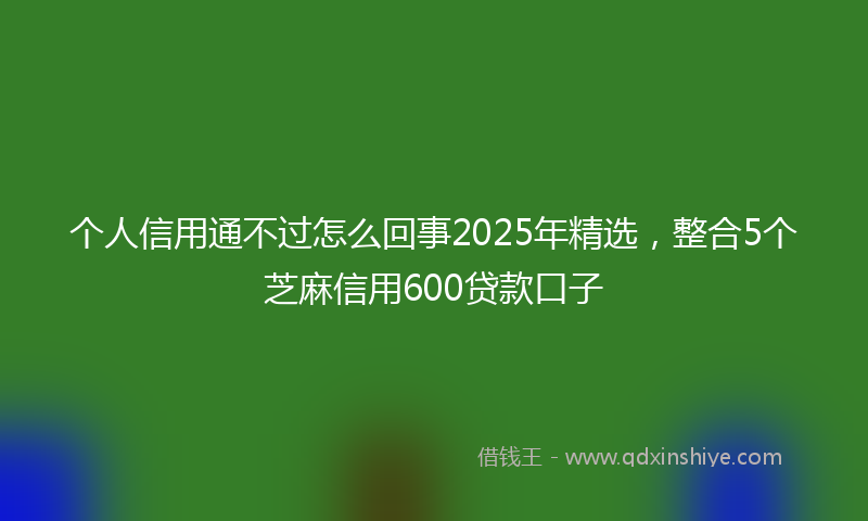 个人信用通不过怎么回事2025年精选，整合5个芝麻信用600贷款口子