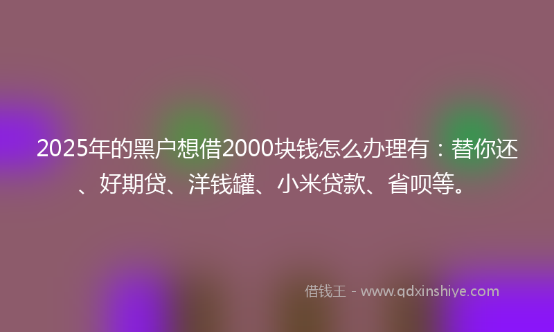 2025年的黑户想借2000块钱怎么办理有：替你还、好期贷、洋钱罐、小米贷款、省呗等。