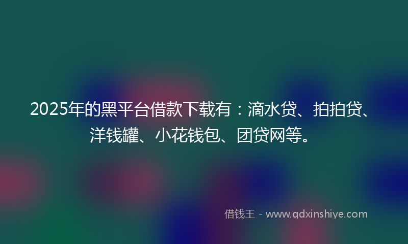 2025年的黑平台借款下载有：滴水贷、拍拍贷、洋钱罐、小花钱包、团贷网等。