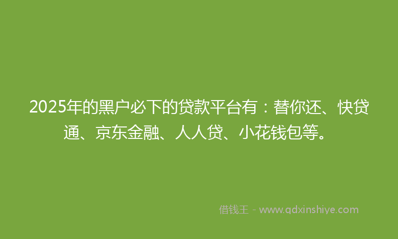 2025年的黑户必下的贷款平台有：替你还、快贷通、京东金融、人人贷、小花钱包等。