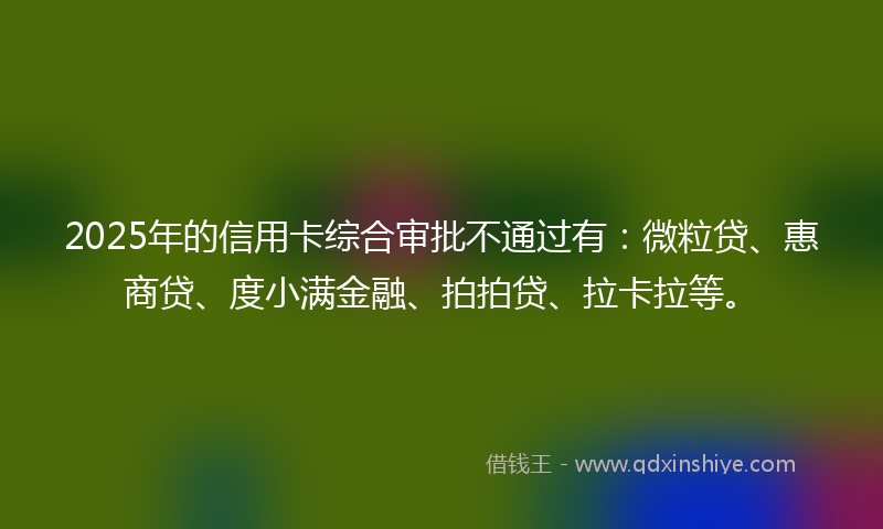 2025年的信用卡综合审批不通过有:微粒贷、惠商贷、度小满金融、拍拍贷、拉卡拉等。