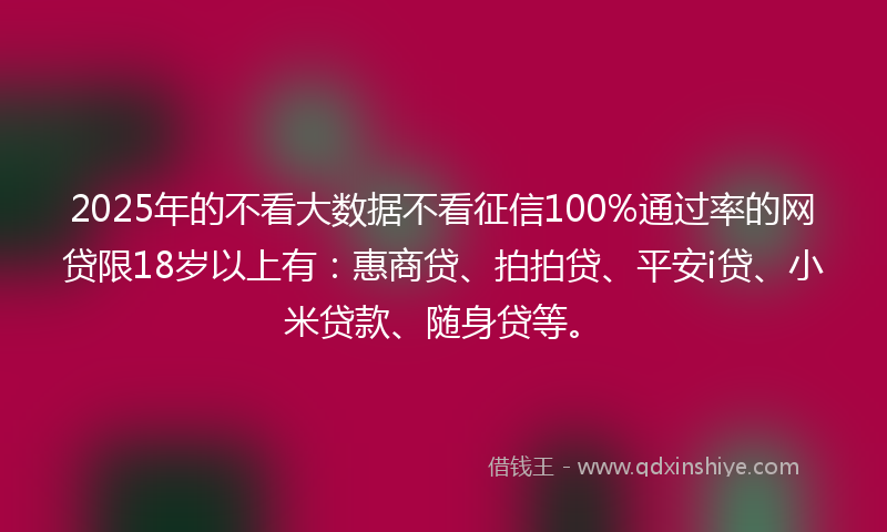2025年的不看大数据不看征信100%通过率的网贷限18岁以上有：惠商贷、拍拍贷、平安i贷、小米贷款、随身贷等。
