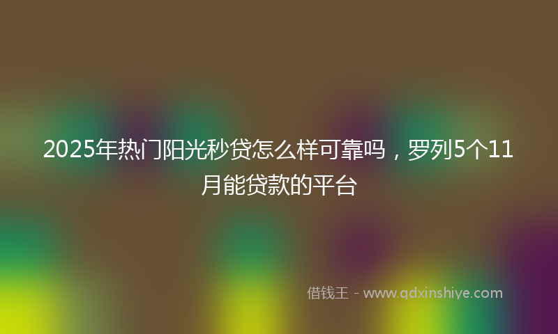 2025年热门阳光秒贷怎么样可靠吗，罗列5个11月能贷款的平台