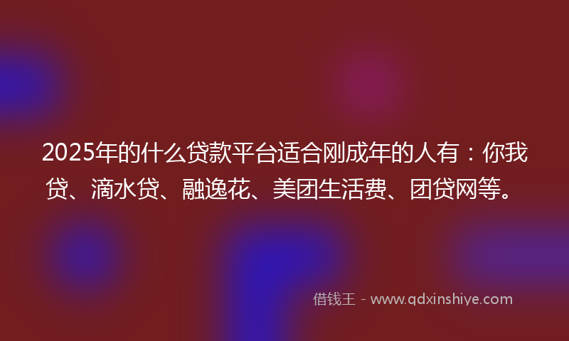 2025年的什么贷款平台适合刚成年的人有：你我贷、滴水贷、融逸花、美团生活费、团贷网等。
