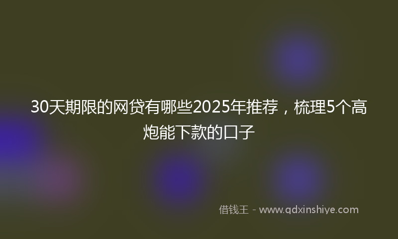 30天期限的网贷有哪些2025年推荐，梳理5个高炮能下款的口子