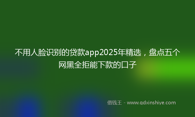 不用人脸识别的贷款app2025年精选，盘点五个网黑全拒能下款的口子
