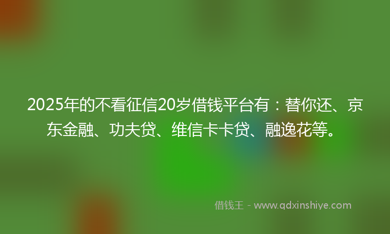 2025年的不看征信20岁借钱平台有：替你还、京东金融、功夫贷、维信卡卡贷、融逸花等。