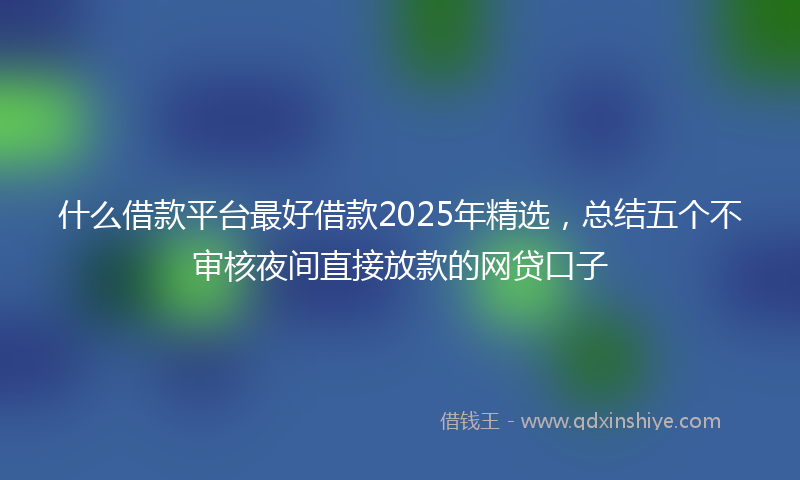 什么借款平台最好借款2025年精选，总结五个不审核夜间直接放款的网贷口子