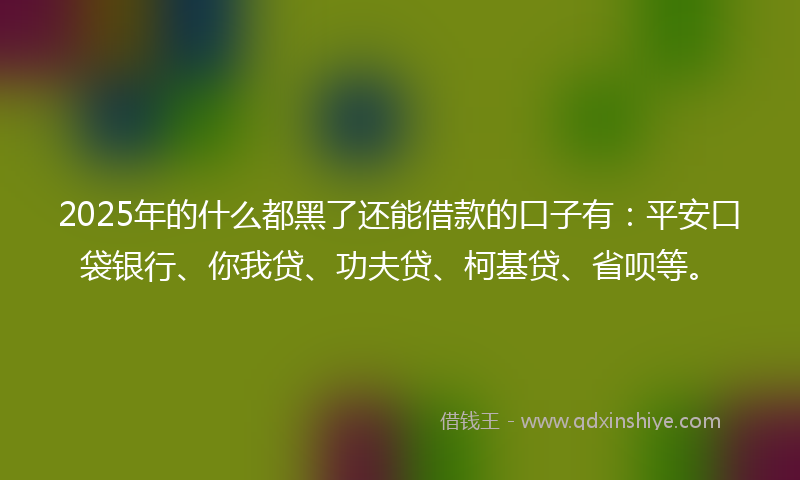 2025年的什么都黑了还能借款的口子有：平安口袋银行、你我贷、功夫贷、柯基贷、省呗等。