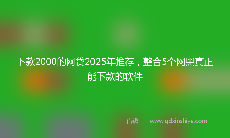 下款2000的网贷2025年推荐，整合5个网黑真正能下款的软件