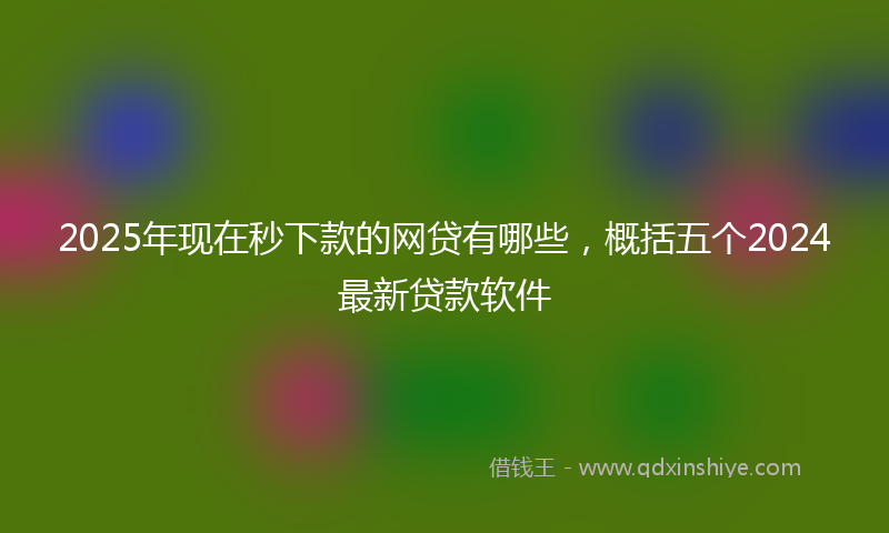 2025年现在秒下款的网贷有哪些，概括五个2024最新贷款软件