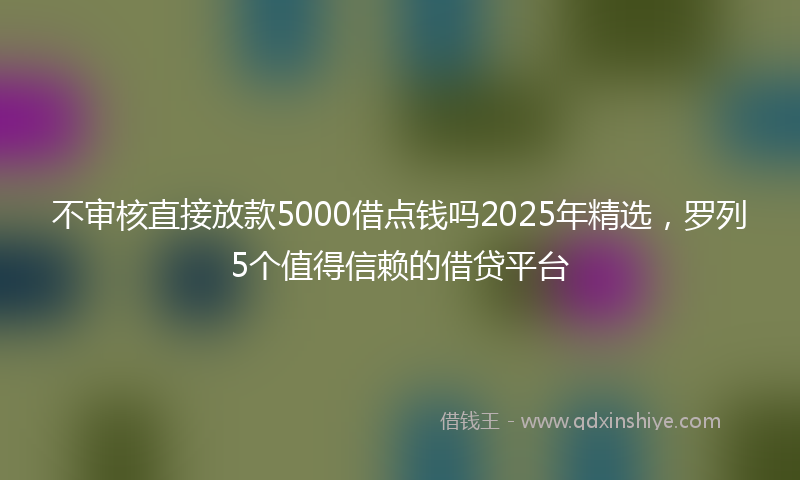 不审核直接放款5000借点钱吗2025年精选，罗列5个值得信赖的借贷平台