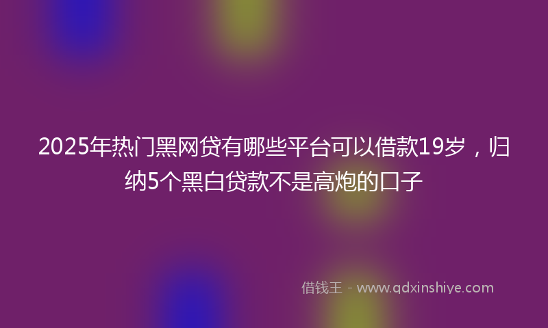 2025年热门黑网贷有哪些平台可以借款19岁，归纳5个黑白贷款不是高炮的口子