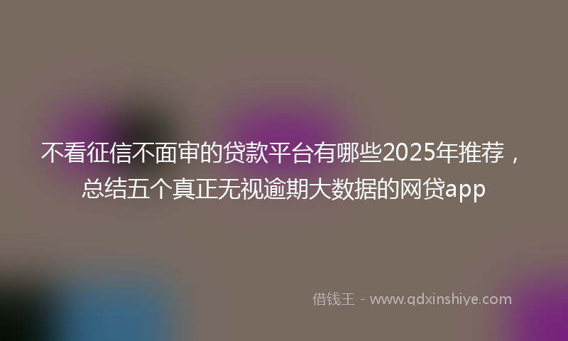 不看征信不面审的贷款平台有哪些2025年推荐，总结五个真正无视逾期大数据的网贷app