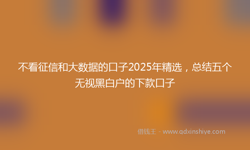 不看征信和大数据的口子2025年精选，总结五个无视黑白户的下款口子