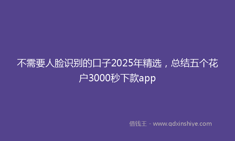 不需要人脸识别的口子2025年精选，总结五个花户3000秒下款app
