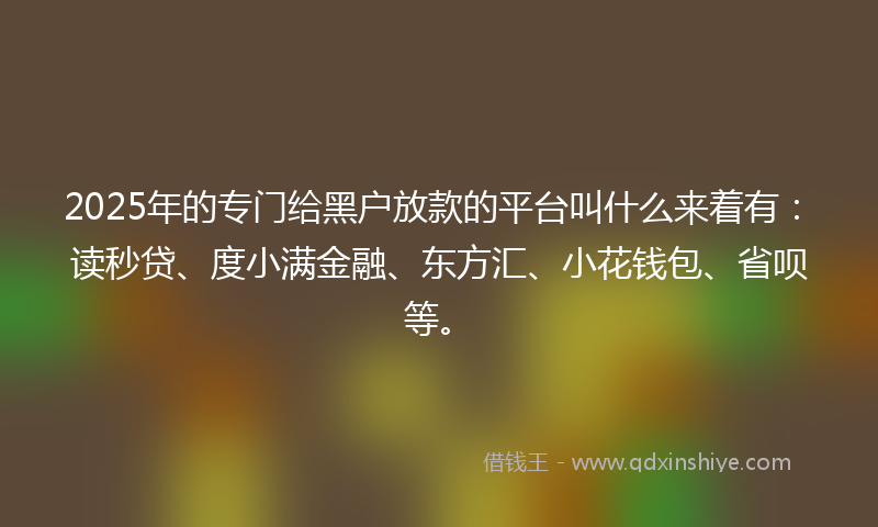 2025年的专门给黑户放款的平台叫什么来着有：读秒贷、度小满金融、东方汇、小花钱包、省呗等。