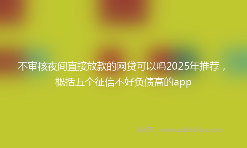 不审核夜间直接放款的网贷可以吗2025年推荐，概括五个征信不好负债高的app