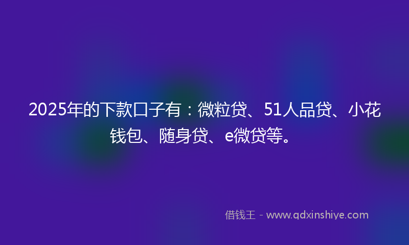 2025年的下款口子有：微粒贷、51人品贷、小花钱包、随身贷、e微贷等。