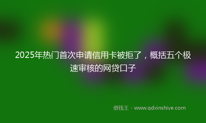 2025年热门首次申请信用卡被拒了，概括五个极速审核的网贷口子