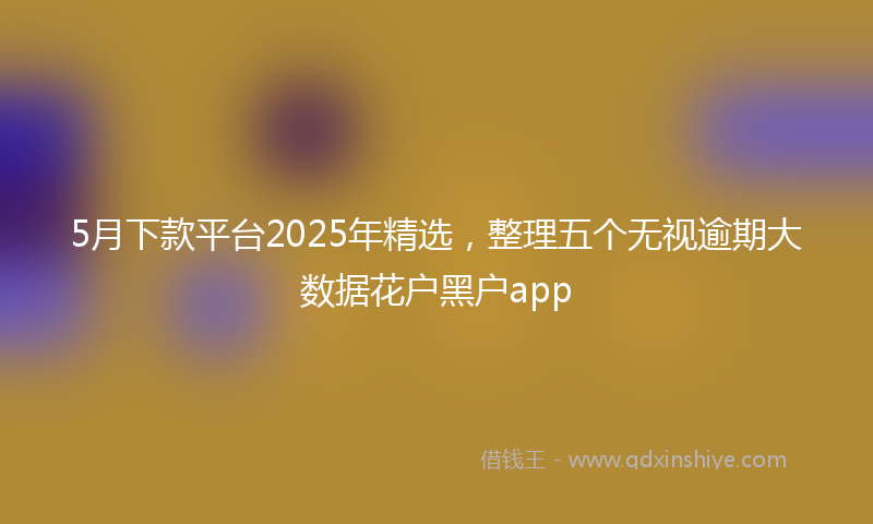 5月下款平台2025年精选，整理五个无视逾期大数据花户黑户app