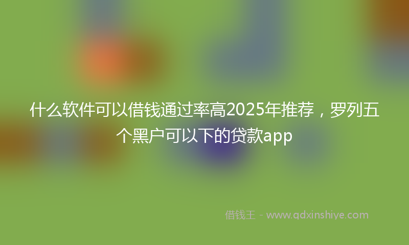 什么软件可以借钱通过率高2025年推荐，罗列五个黑户可以下的贷款app