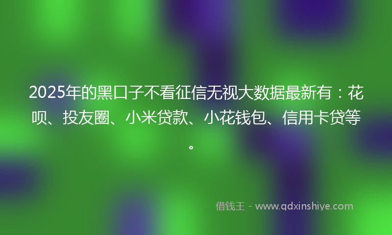 2025年的黑口子不看征信无视大数据最新有：花呗、投友圈、小米贷款、小花钱包、信用卡贷等。