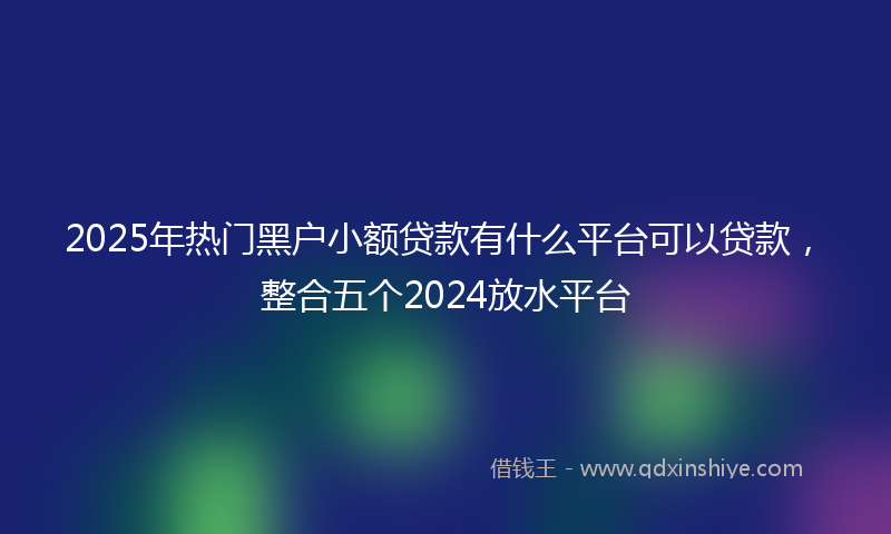 2025年热门黑户小额贷款有什么平台可以贷款，整合五个2024放水平台