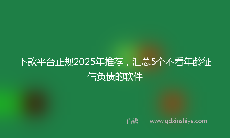 下款平台正规2025年推荐，汇总5个不看年龄征信负债的软件