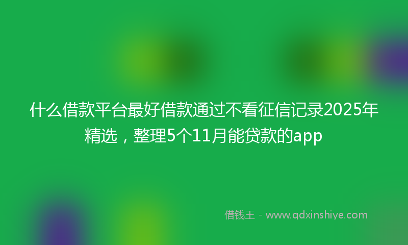 什么借款平台最好借款通过不看征信记录2025年精选，整理5个11月能贷款的app