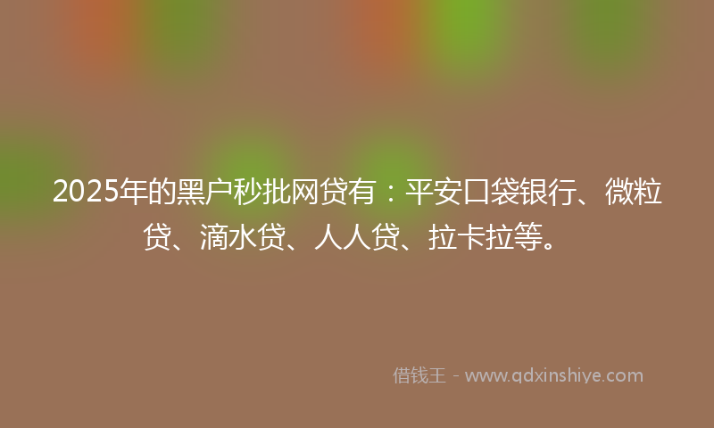 2025年的黑户秒批网贷有：平安口袋银行、微粒贷、滴水贷、人人贷、拉卡拉等。