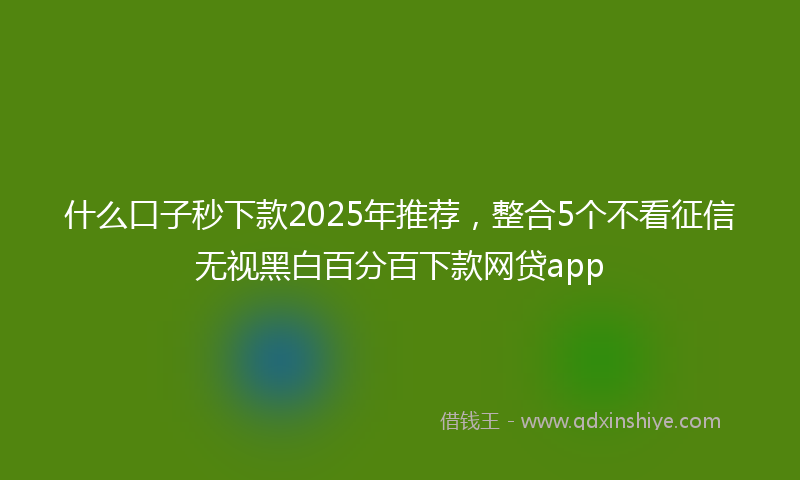 什么口子秒下款2025年推荐，整合5个不看征信无视黑白百分百下款网贷app