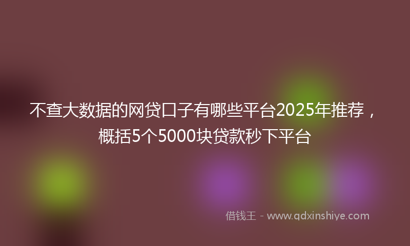 不查大数据的网贷口子有哪些平台2025年推荐，概括5个5000块贷款秒下平台