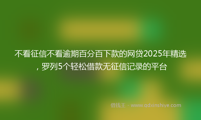 不看征信不看逾期百分百下款的网贷2025年精选，罗列5个轻松借款无征信记录的平台