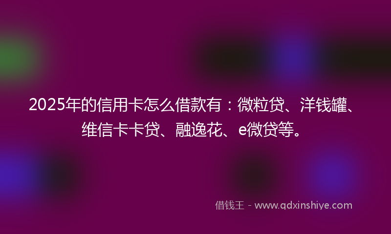 2025年的信用卡怎么借款有：微粒贷、洋钱罐、维信卡卡贷、融逸花、e微贷等。