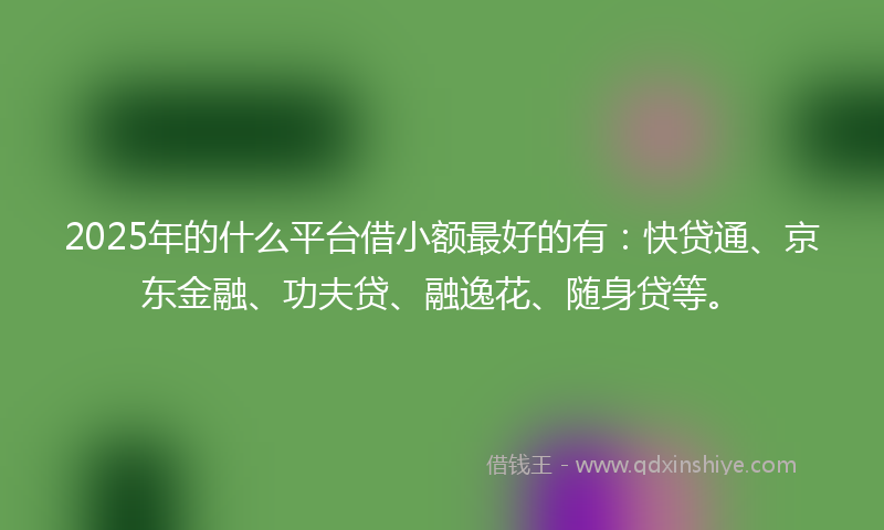 2025年的什么平台借小额最好的有：快贷通、京东金融、功夫贷、融逸花、随身贷等。