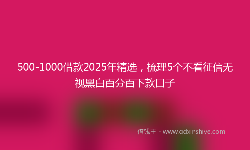 500-1000借款2025年精选，梳理5个不看征信无视黑白百分百下款口子