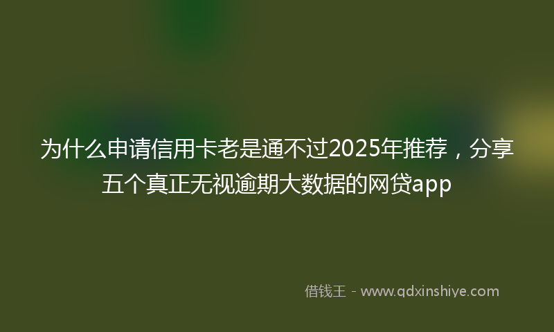 为什么申请信用卡老是通不过2025年推荐，分享五个真正无视逾期大数据的网贷app