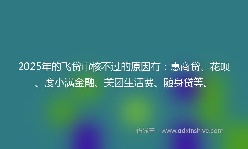 2025年的飞贷审核不过的原因有：惠商贷、花呗、度小满金融、美团生活费、随身贷等。