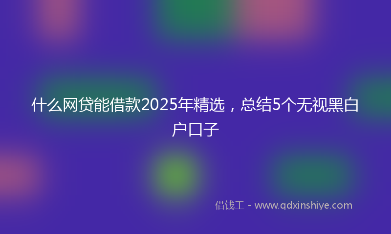 什么网贷能借款2025年精选，总结5个无视黑白户口子